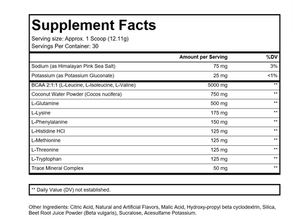 Anabolic Army “Blackberry Lemonade” EAA/BCAA Hydration Recovery Powder